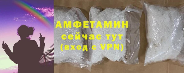 молекула духа Няндома