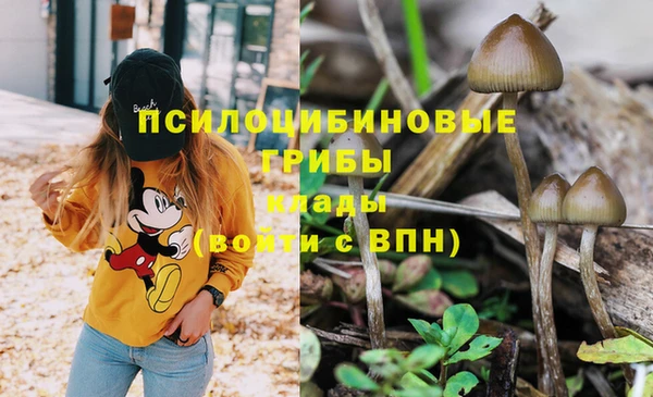 mdpv Осинники
