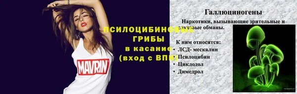 PSILOCYBIN Остров
