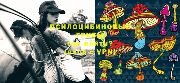 PSILOCYBIN Остров