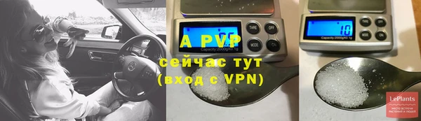 прущие грибы Нязепетровск