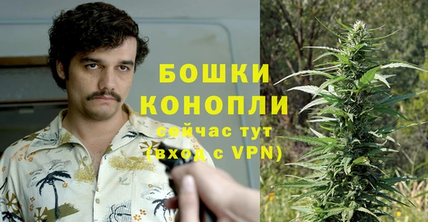 ALPHA PVP Нягань