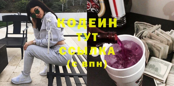 молекула духа Няндома