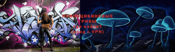 прущие грибы Нязепетровск