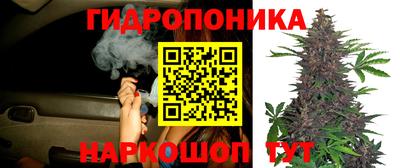 MDMA Premium VHQ Аргун