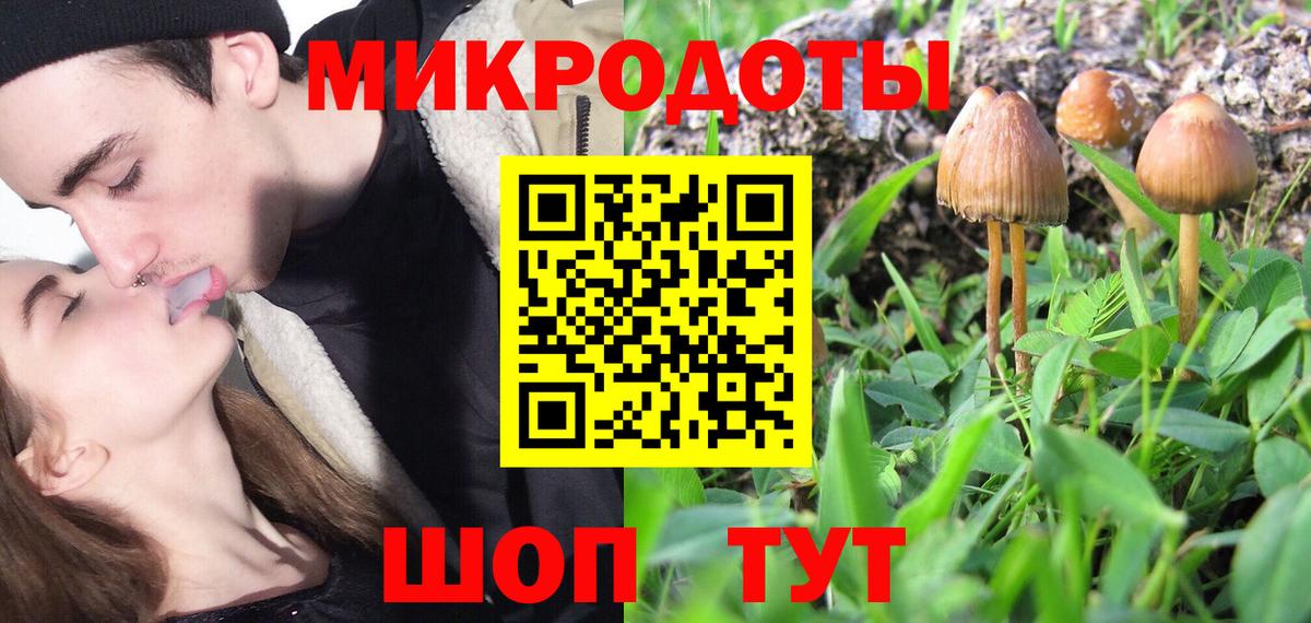 Богородицк  где купить наркоту  Вход с VPN  Галлюциногенные грибы прущие грибы 