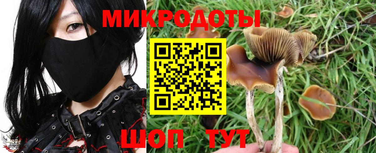 Псилоцибиновые грибы Cubensis Богородицк