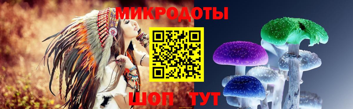 купить наркотики сайты  Богородицк  Псилоцибиновые грибы Magic Shrooms 