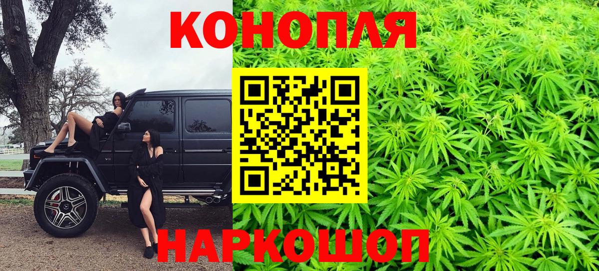 МАРИХУАНА ГИДРОПОН Богородицк